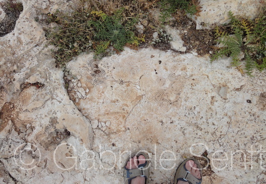 201105Zypern Sony (137)